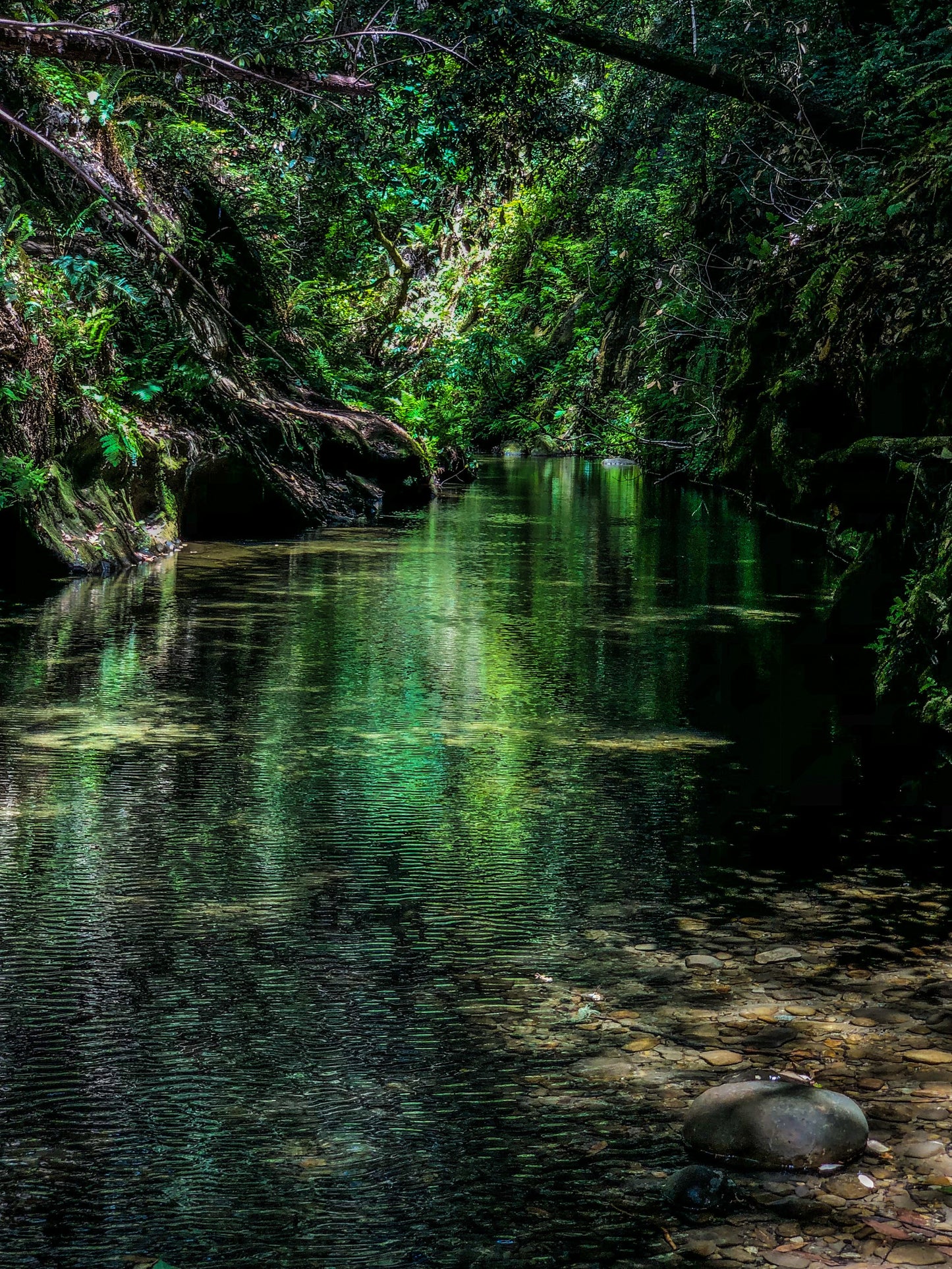 Serene Green River