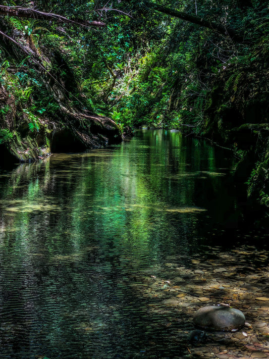 Serene Green River
