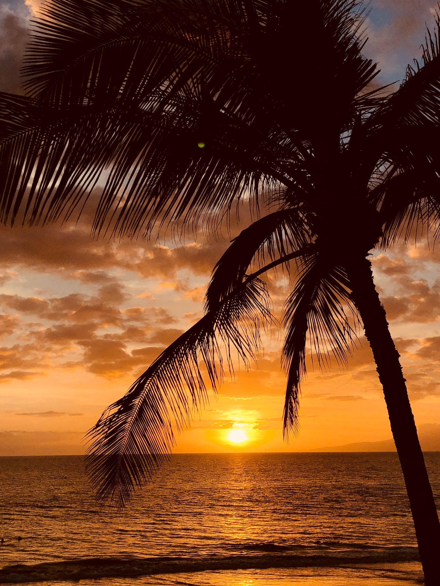 Another Beautiful Hawaiian Sunset- Maui