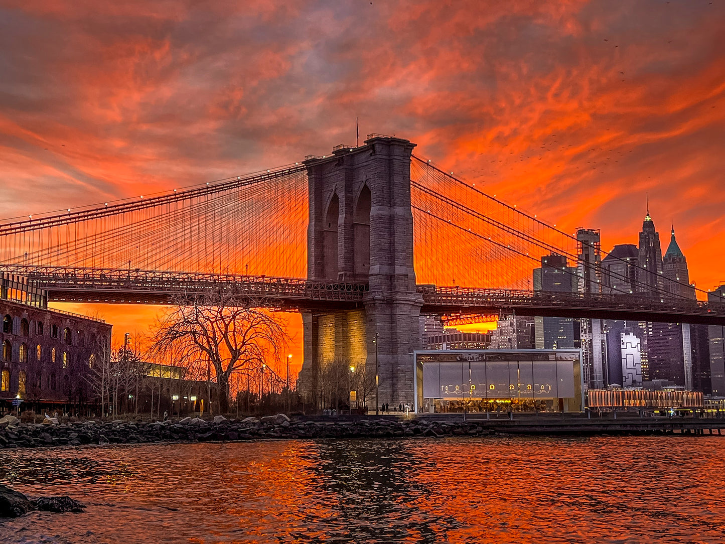 Brooklyn Bridge #2, March, 2022