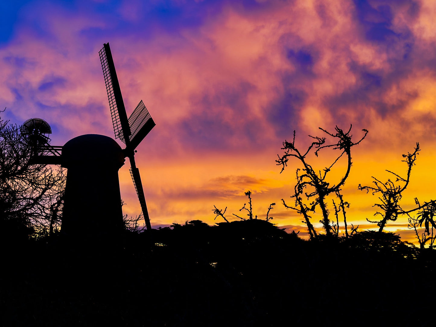 Sunset in Golden Gate Park - 2023